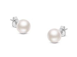 14K White Gold Round White 5.0-5.5MM Saltwater Akoya Cultured Pearl Stud Earrings AAA+ Quality