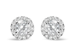 14K White Gold Lab Grown Diamond Solitaire Stud Earrings with Halo (2.00 Cttw, F-G Color, VS2-SI1 Clarity