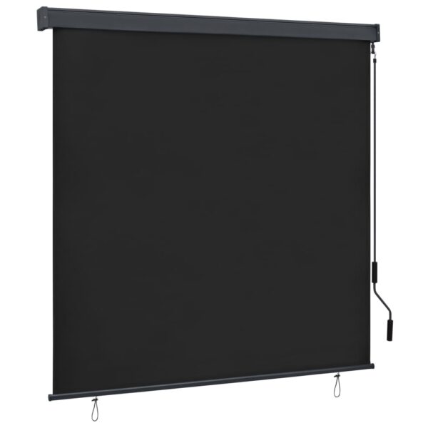 vidaXL Outdoor Roller Blind 63"x98.4" Anthracite