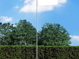 vidaXL Telescopic Flagpole 13.1' Aluminum