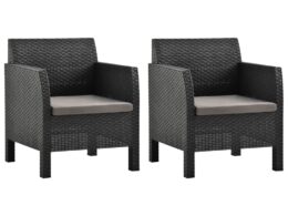 vidaXL Patio Chairs with Cushions 2 pcs PP Rattan Anthracite