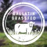 Gallatin Grassfed