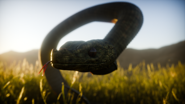 Realistic 3D Snake - Image 11