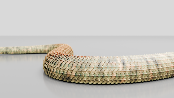 Realistic 3D Snake - Image 7