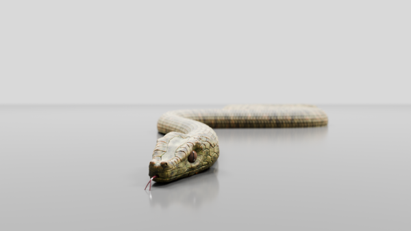 Realistic 3D Snake - Image 2