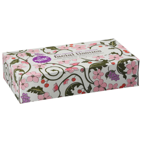 Natural Value Facial Tissues 2-Ply Unscented (30x100 CT) - Image 2