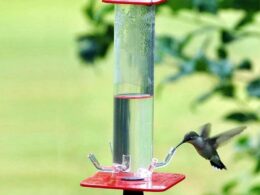 The Enchanting Nectar Haven - Hanging Cylindrical Hummingbird Feeder