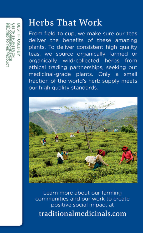 Traditional Medicinals Nighty Night Herb Tea (6x16 Bag) - Image 3