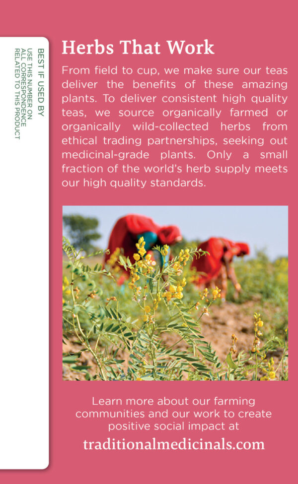 Traditional Medicinals Mother's Milk Herb Tea (6x16 Bag) - Image 3
