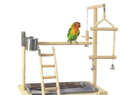 Wooden Avian Oasis: Small Cockatiel Floor Parrot Standing Stand