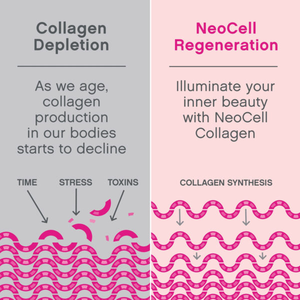Neocell Laboratories Super Collagen Powder (1x7 Oz) - Image 14