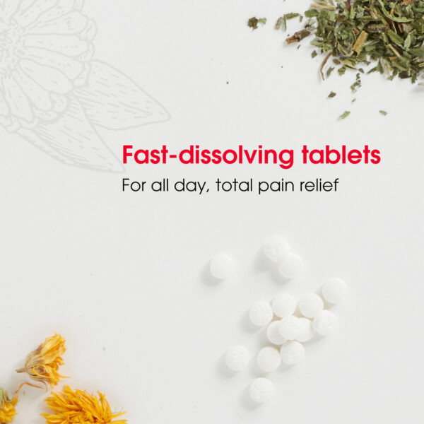 T-Relief Arnica+12 Extra Strength Pain Reliever 100 Tablets - Image 6