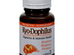 Kyolic Kyo Dophilus (1x90 CAP)