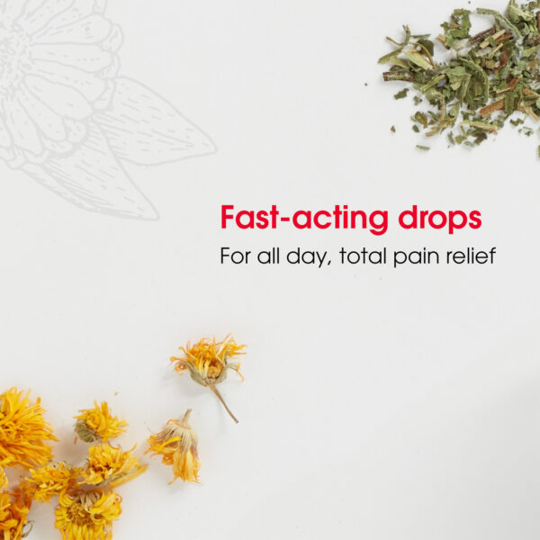 T-Relief Arnica +12 Extra Strength Liquid Pain Reliever 1.69 oz - Image 3
