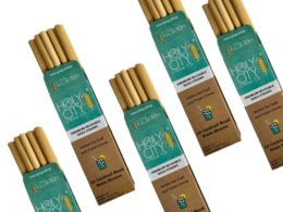 5.5" Jumbo Reed Straws | 10ct. | 5 Pack Bundle