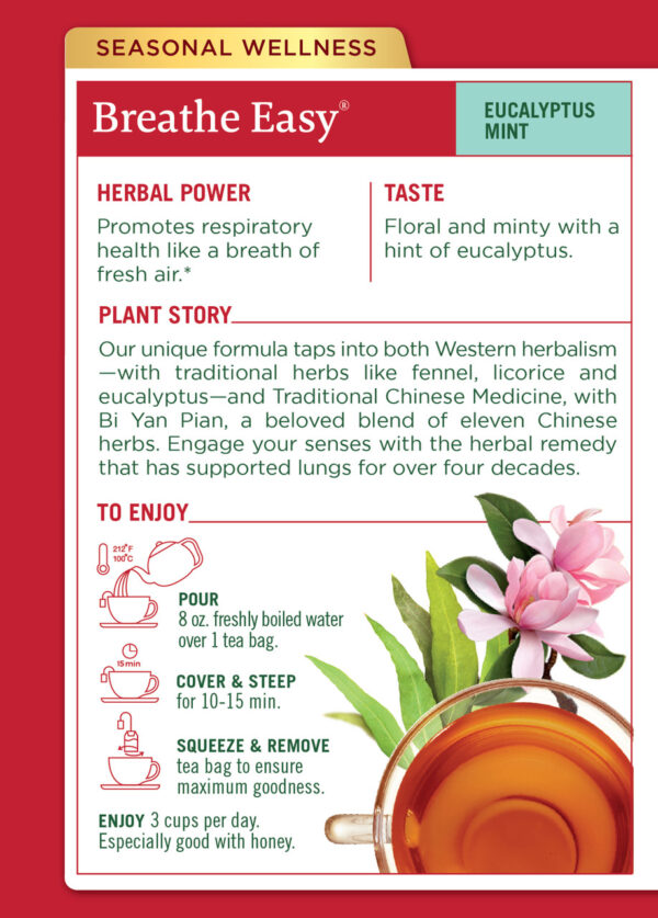 Traditional Medicinals Breathe Easy Herb Tea (6x16 Bag) - Image 2