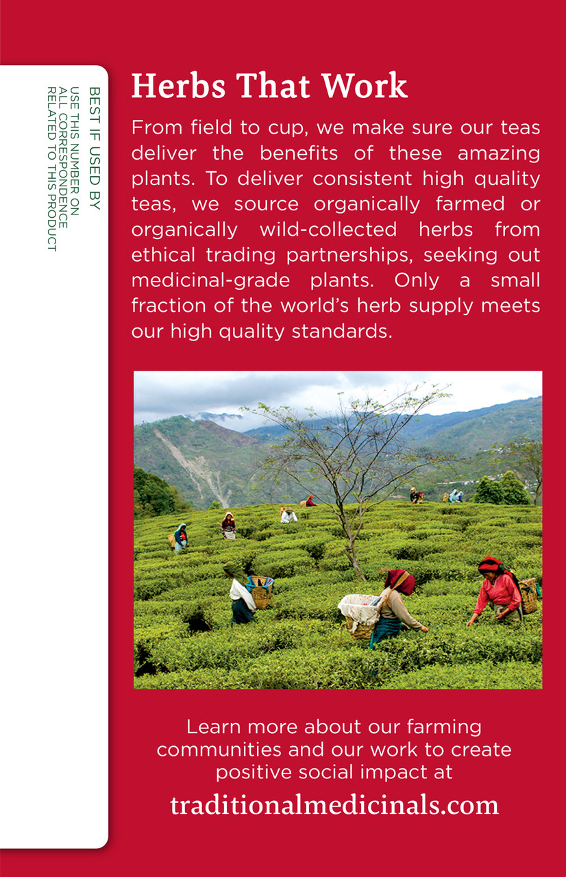 Organic Immune Zoom Caffeine Free Lemon Ginger Tea 16 Tea Bags (Pack of 6 Boxes) - Image 3