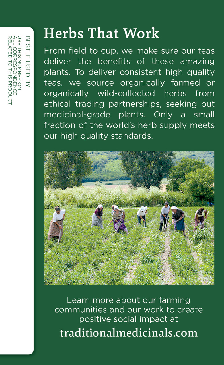 Traditional Medicinals Nettle Leaf Herb Tea (6x16 Bag) - Image 3