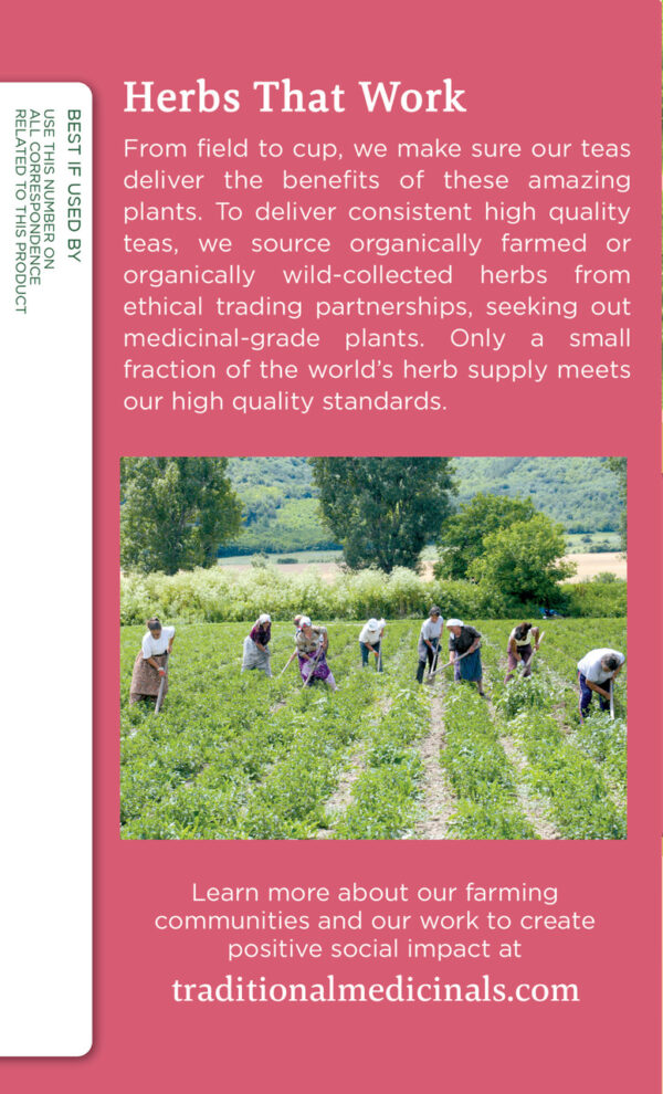 Traditional Medicinals Pregnancy Herb Tea (6x16 Bag) - Image 3