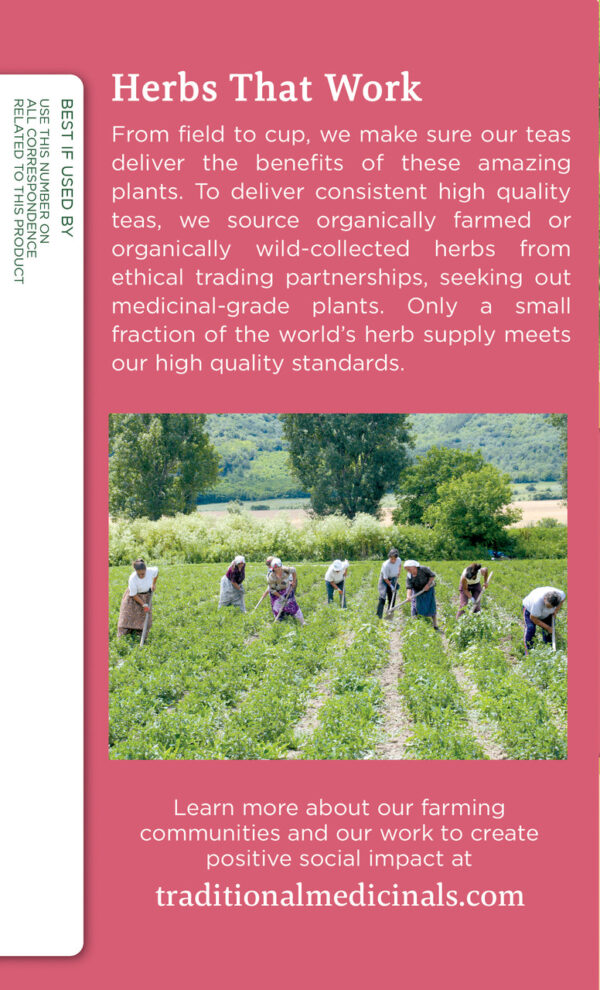 Traditional Medicinals Female Toner Herb Tea (6x16 Bag) - Image 3