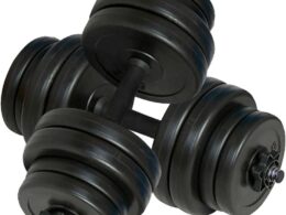 vidaXL Dumbbells 2x33.1 lb