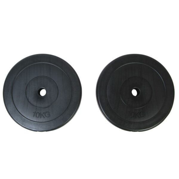 vidaXL Weight Plates 2x22 lb - Image 3