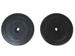 vidaXL Weight Plates 2x22 lb