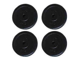 vidaXL Weight Plates 4 pcs 44.1 lbs