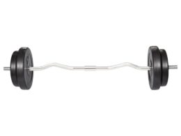 vidaXL Curl Bar with Weights 66.1 lb