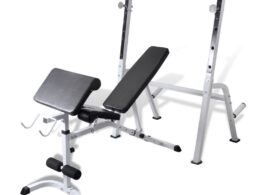 vidaXL Multi-exercise Workout Bench
