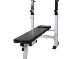 vidaXL Fitness Workout Bench Straight Weight Bench