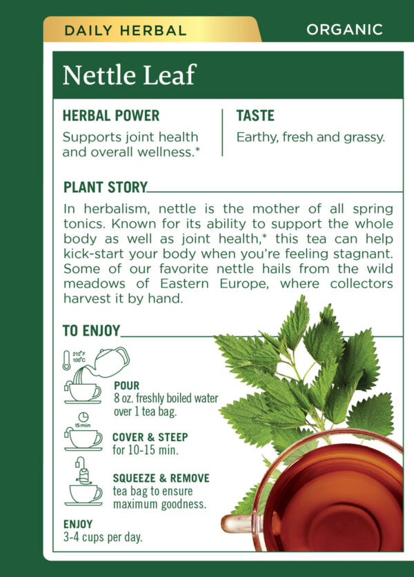 Traditional Medicinals Nettle Leaf Herb Tea (6x16 Bag) - Image 2