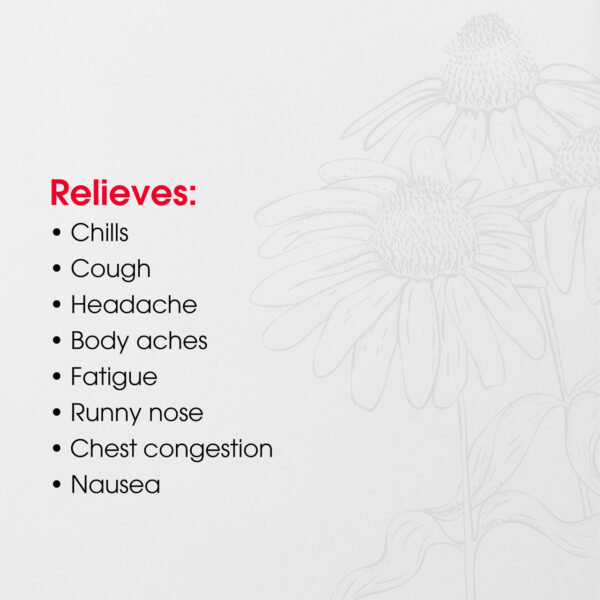 ReBoost Zinc + 10 Max Cold & Flue Relief 60 Tablets - Image 5