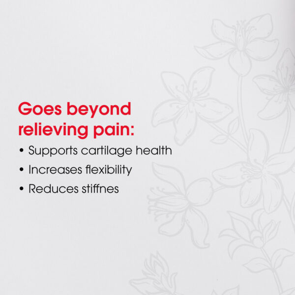 T-Relief Arnica Pain Relief 100 Tablets - Image 5