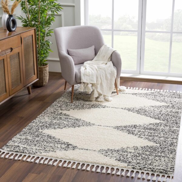 Howth Area Rug - Image 10