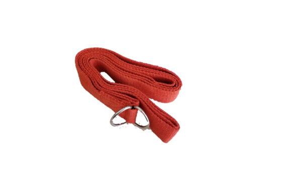 OMSutra Yoga Strap - D Ring (Regular) 8' - Deluxe - Image 2