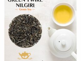 Green Twirl Nilgiri Green Tea