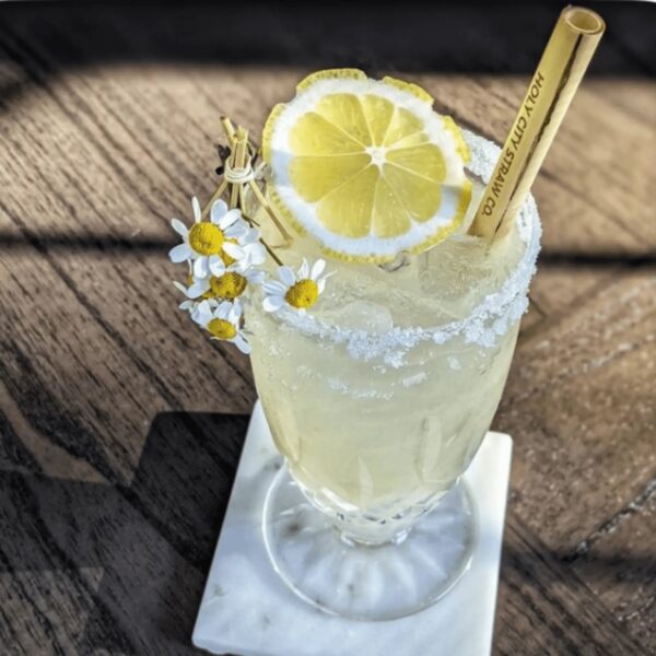 5.5" Jumbo Reed Straws | 10ct. | 3 Pack Bundle - Image 5
