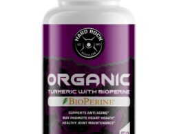 Turmeric with BioPerine - 650mg (100% Organic)