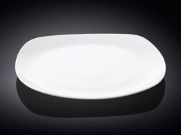 White Dinner Plate 9.75" inch X 9.75 | 24.5 X 24.5 C?