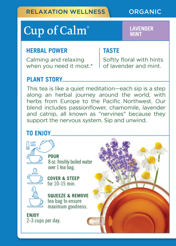 Traditional Medicinals Easy Now Herb Tea (6x16 Bag) - Image 2