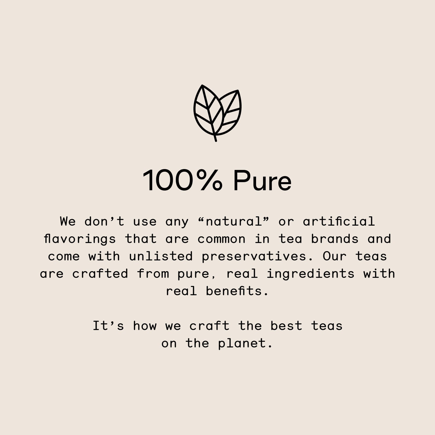 All Matcha - Image 3