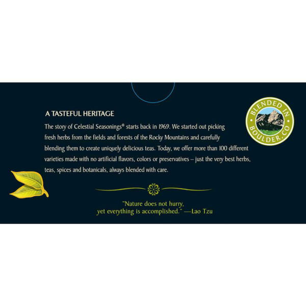 Celestial Seasonings Authentic Green Tea (6x20 Bag) - Image 4
