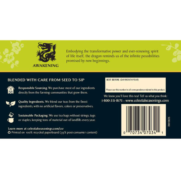 Celestial Seasonings Authentic Green Tea (6x20 Bag) - Image 8