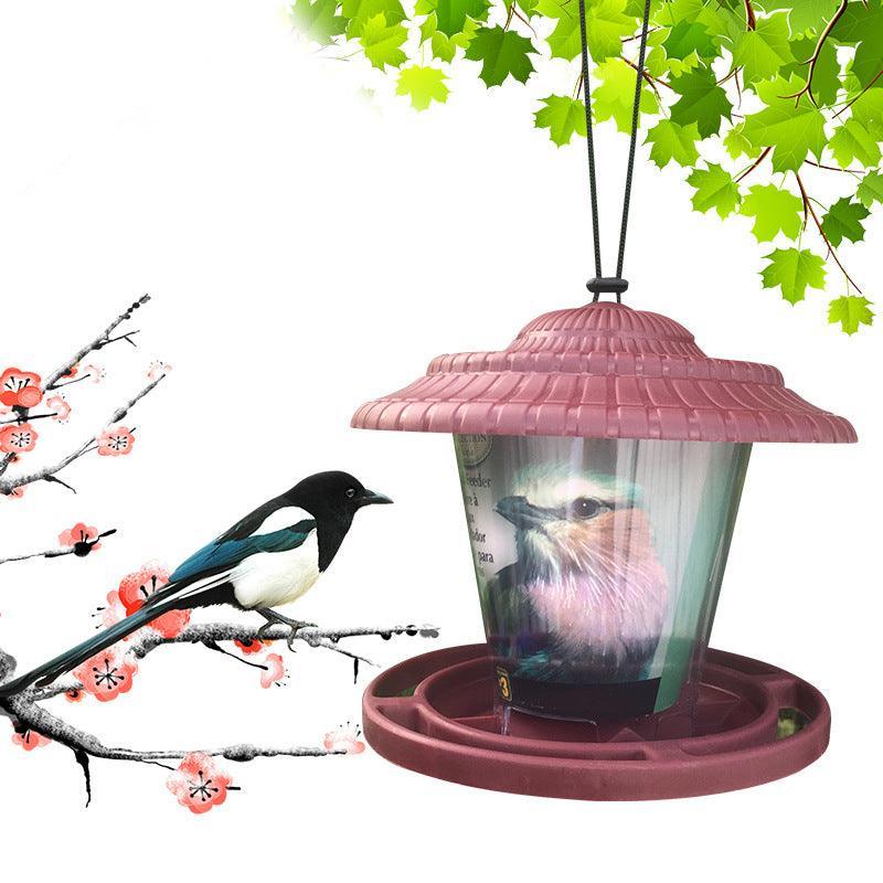 Clearview Bird Buffet - Image 5
