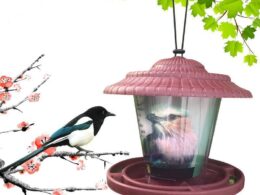 Clearview Bird Buffet