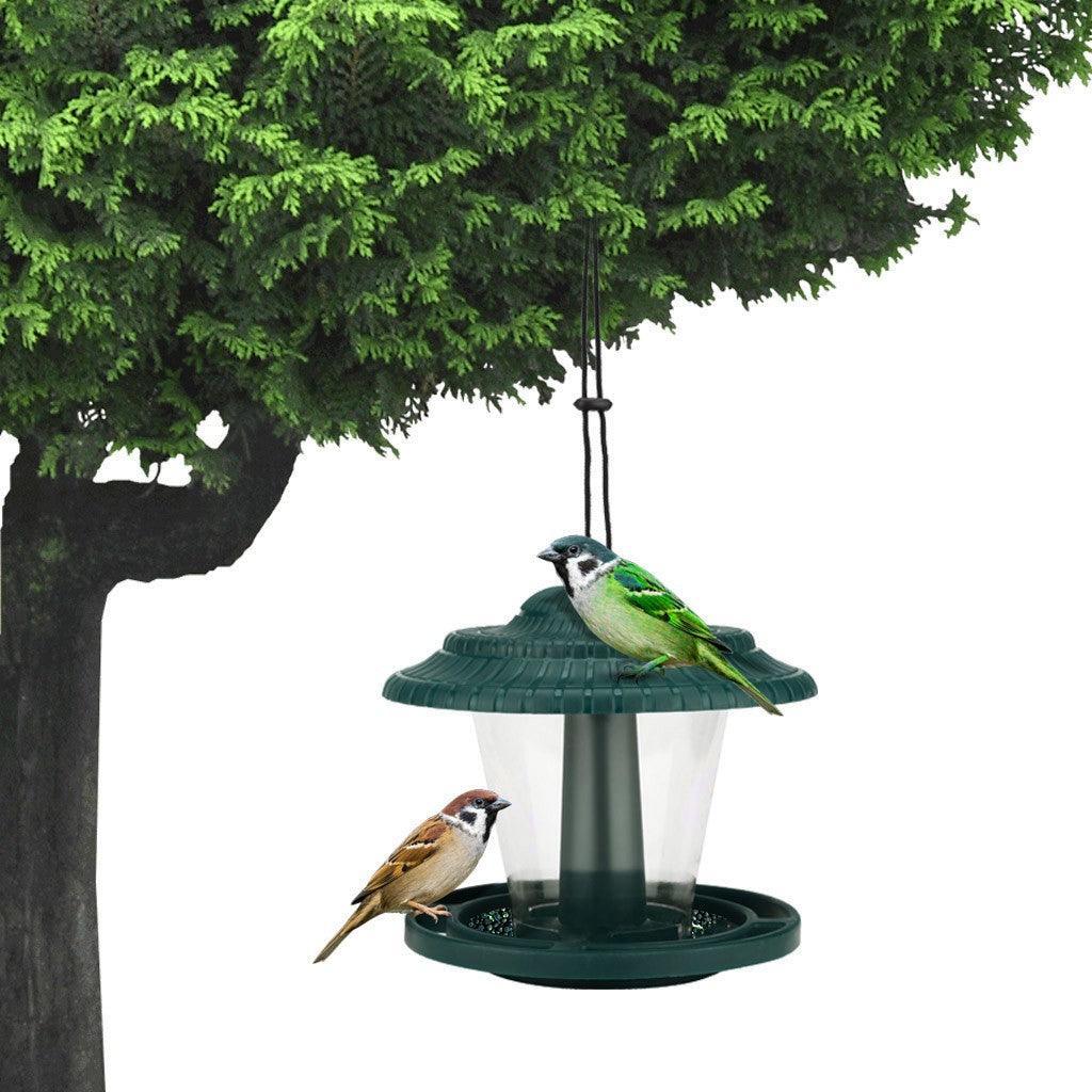 Clearview Bird Buffet - Image 4