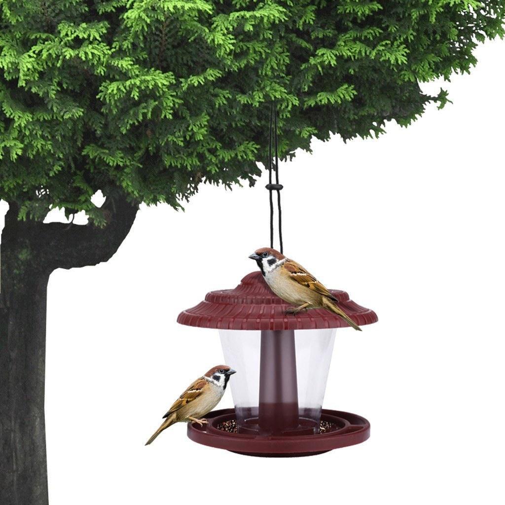 Clearview Bird Buffet - Image 3