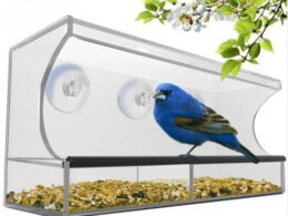 Crystal Clear Acrylic Pet Feeder