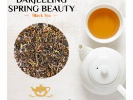 Darjeeling Spring Beauty Black Tea